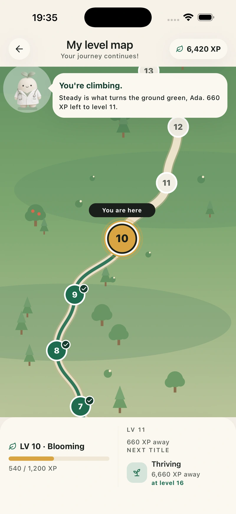 Lifepack native level map showing fictional example progress and the next milestone