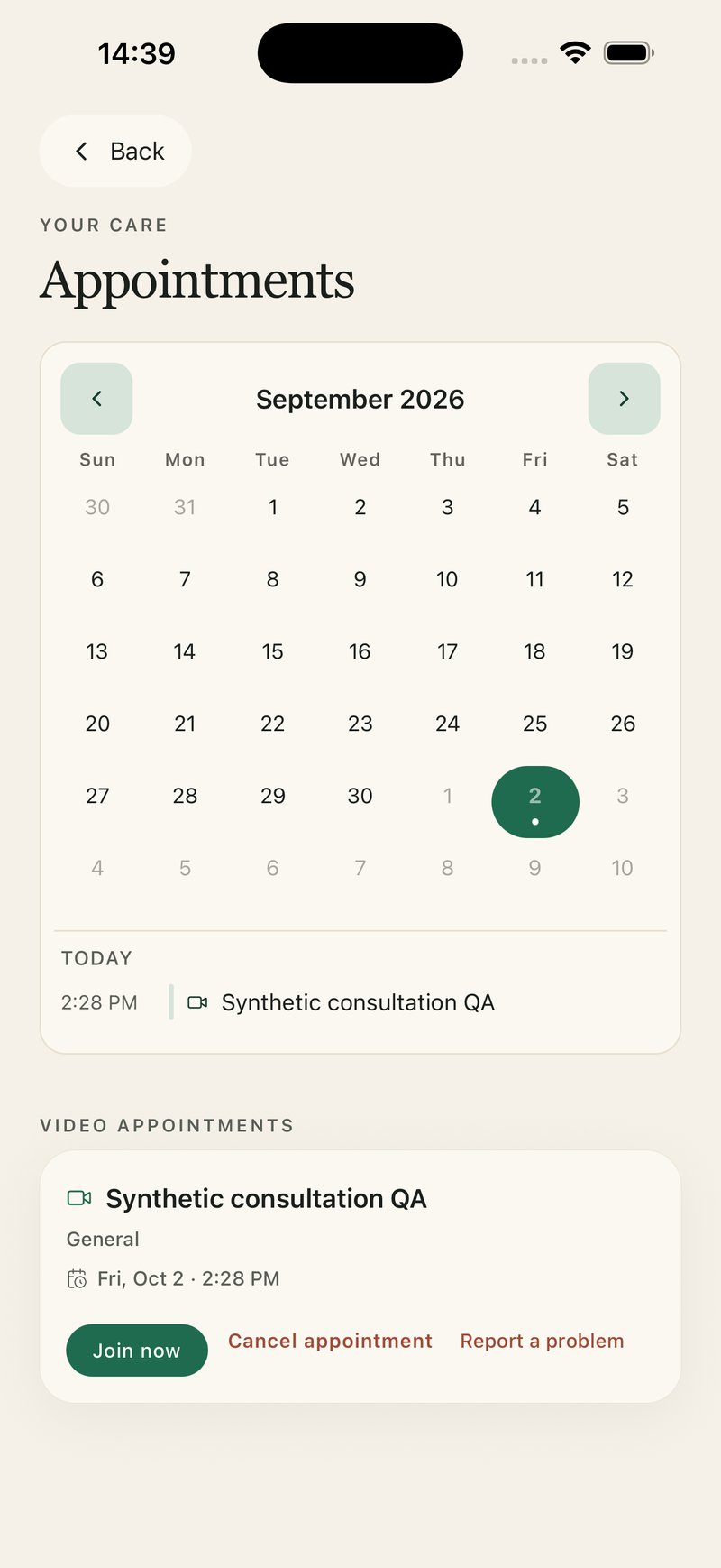 Appointments — native QA with a synthetic consultation, 2 October 2026